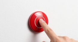 capabilities and limitations explained