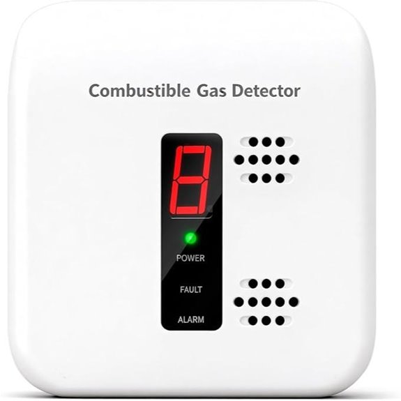 Gas Leak Detector with Digital Concentration Display