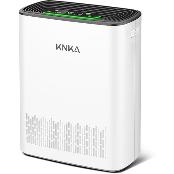 KNKA Large Room HEPA Air Purifier with Filters