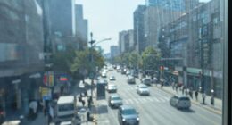 reflects window film mechanisms