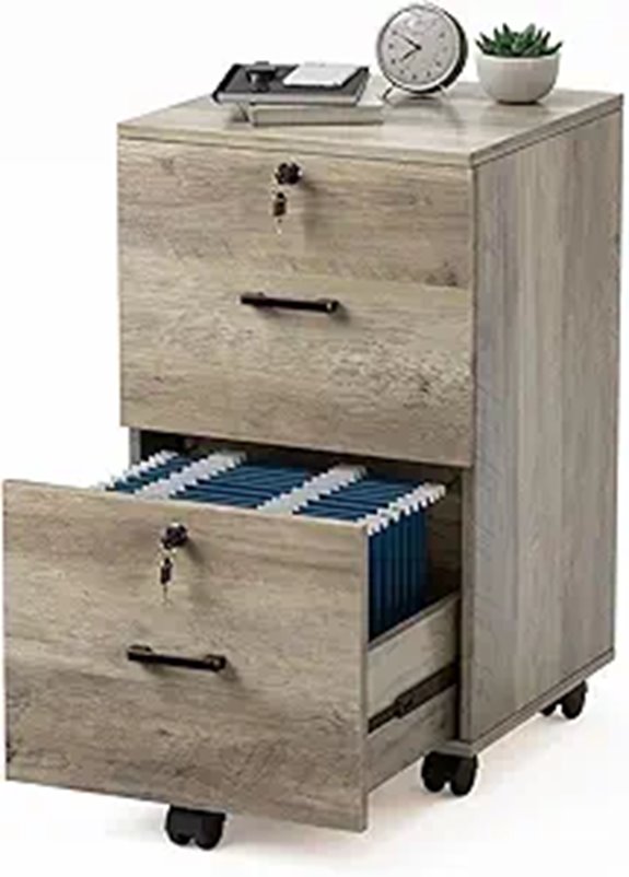 VINGLI 2-Drawer Locking Rustic File Cabinet