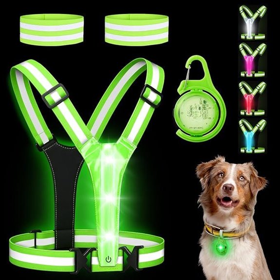 Reflective Safety Vest & Dog Light Set with USB Recharge