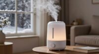 top humidifiers for winter