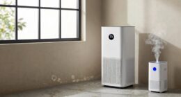 top mold air purifiers