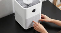 8 Best HEPA Air Purifier For Smoke And Odors In 2026