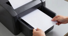 9 Best Heavy Duty Office Shredder With Large Bin in 2026