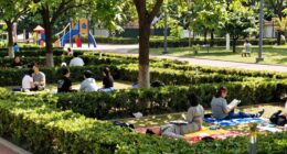 balancing privacy and openness