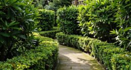 hidden landscaping design flaws