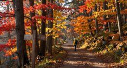 prepare recovery plans early