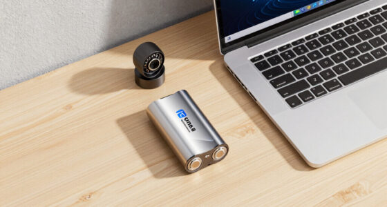 China storage battery makers denied cybersecurity approval in Japan
