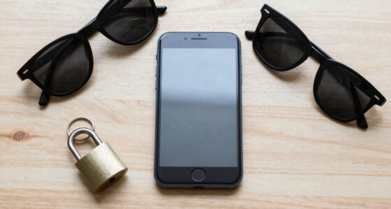 Virginia Bans Sale Of Geolocation Data
